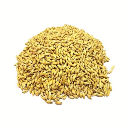 Barley Malts for Sale