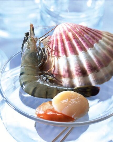 Scallops with coral IQF - Frozen seafood