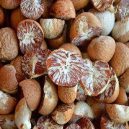 Dried Betel Nuts / Betel Nuts / Slice Betel Nuts for Sale / Betel Nuts Whole and Split