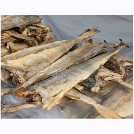 New Stock Dried Stockfish & Wholesale Distributor Of Dried Stockfish / Stock fish Cod