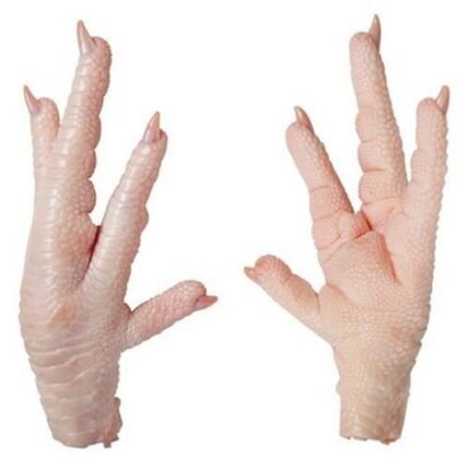Freshly processed and frozen chicken paws and feet available at competitive prices. Ideal for export, ensuring high quality