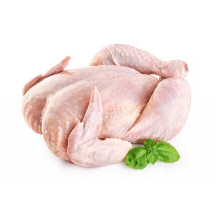 Halal Frozen Chicken Paws / Halal Frozen Chicken Wings/Whole Chicken / Frozen chicken feet/ Frozen chicken paws