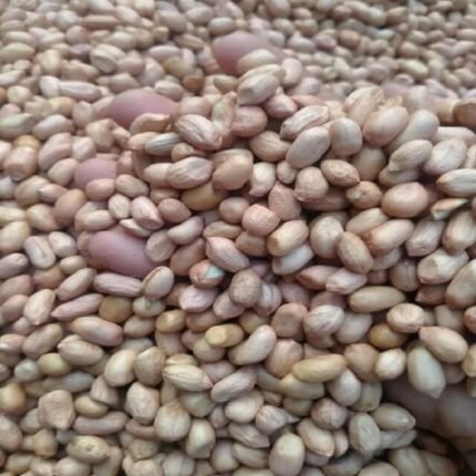 Premium 80/90 Groundnut Kernel