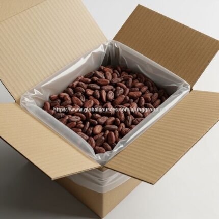 Natural Cocoa Beans With Strong Flavor And High Quality Cocoa Beans 98% Pure Organic Product For Export