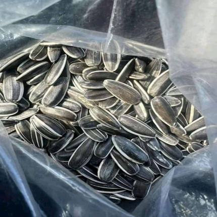 Hot Selling Wholesale Natural Sunflower Seed Kernels, Raw Sunflower Seeds, Organic Sunflower Seeds, Hulled Sunflower Kernels