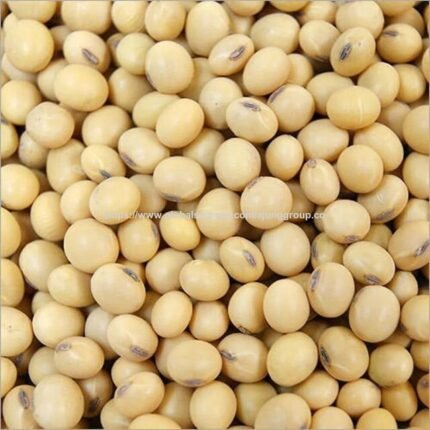 Premium Soybeans Seeds Rich In Protein And Fiber Soybeans Seeds Natural Healthy Option For Export And Global Traders