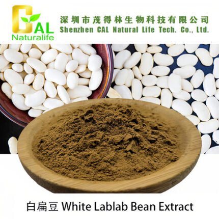 Plant extract White Lablab Bean powder plant powder natural plant extract