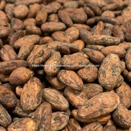 Organic Cocoa Beans With Intense Flavor And Aroma Cocoa Beans Premium Export Ready Product For Food Industry