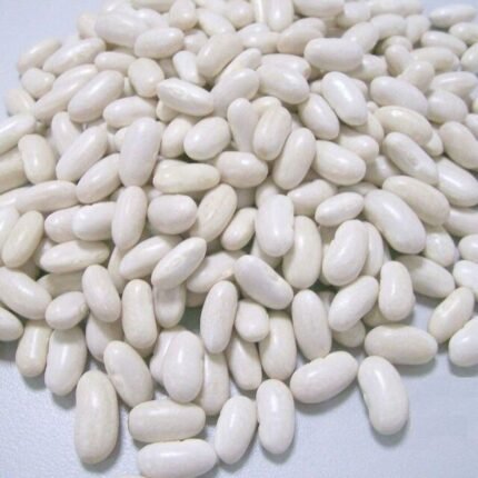 White Beans Dried EU Certified for Canning