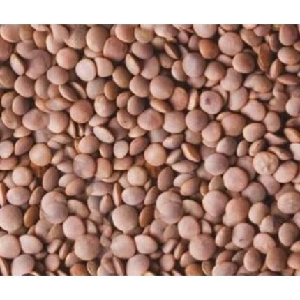 Top quality red lentils available for sale