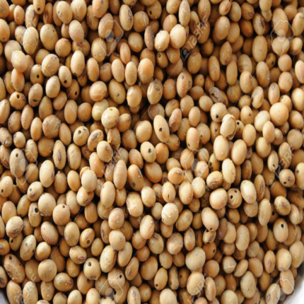Premium Quality Soybeans High Protein Non-GMO Soy Bean for Food Processing and Animal Feed