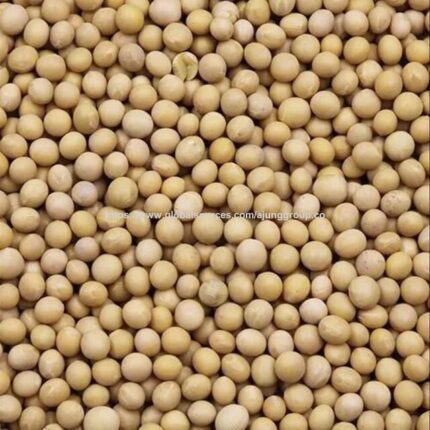 Bulk Soybeans Seeds With Superior Quality And Nutrients Soybeans Seeds Authentic Organic Product For Global Markets