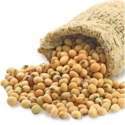 Premium Quality Soybean/ Soya Bean/ Soybeans Seeds.