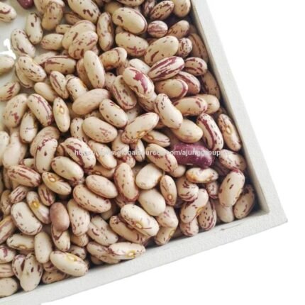 Organic Speckled Kidney Beans Rich Nutrients Clean Processed Harvest Ideal For Wholesale Food Suppliers And Export Buyers