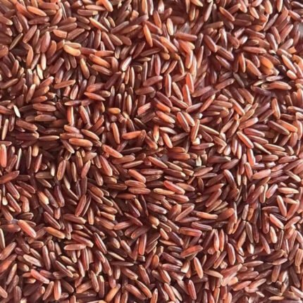 Thai Hom Mali Rice Organic Fresh Soft Medium-Grain Premium Quality New Crop 2025/2026 Food Supply Ready to Export