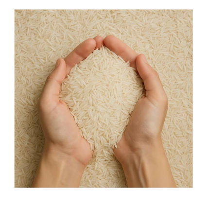Long Grain 1121 Basmati Rice Wholesale Price Natural Taste