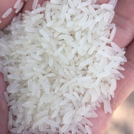 HIGH QUALITY FRAGRANT RICE LONG GRAIN BASMATI RICE for COOKING