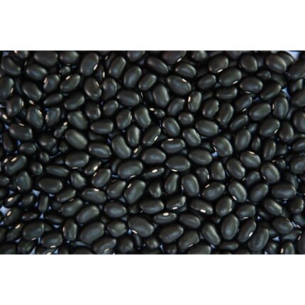 Spotted Black Kidney Beans | Kidney Beans Kidney Beans FOR SALE