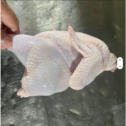 Halal Frozen Chicken Wings (3-Joint/Middle)-Top Grade AAA Trans-Fan Box