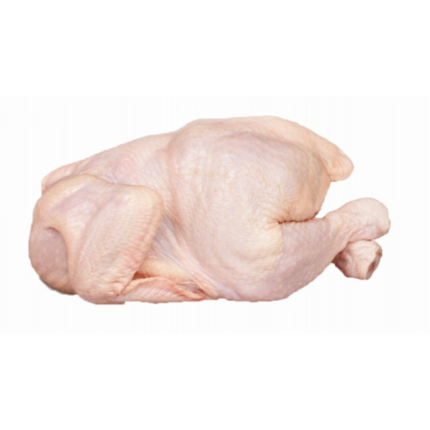 Factory Direct Premium Quality Boneless Skinless Halal Frozen Chicken Thigh Meat for Restaurant