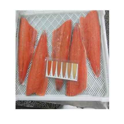 Frozen Best Quality Fresh Salmon Fish, Fresh Frozen Salmon Fillet / Salmon Fish From Norway Selling at Low Prices