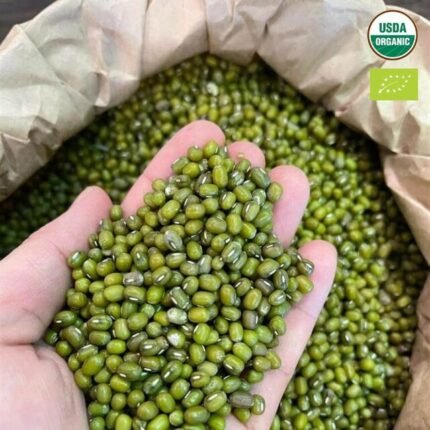Premium Grade Round Organic Green Beans Green Mung Beans At Wholesale