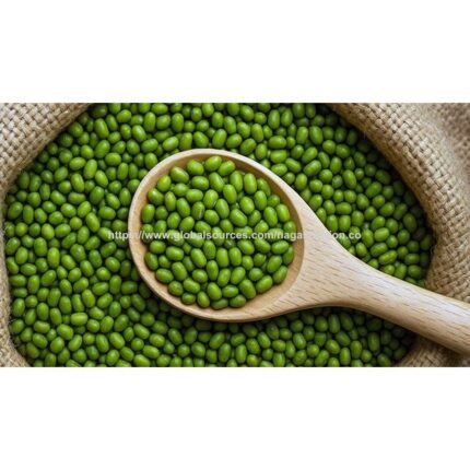 Premium Quality Green Mung Beans Green Gram Non-GMO Organic Beans for Sprouting Cooking & Food Processing Bulk Wholesale Exporter
