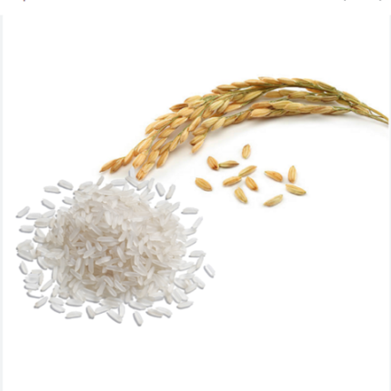 Premium long-grain jasmine rice, parboiled and fragrant. High-quality white rice suitable for cooking, commercial use, and wholesa