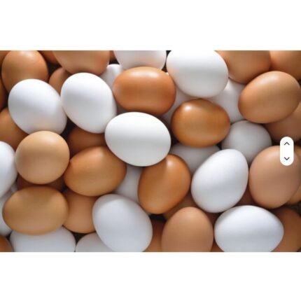 Best Quality Organic Fresh Chicken Table Eggs For sale