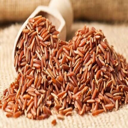 Red Rice Berry Rice 5% Broken Top Export Grade/ Rice Berry 100% Organic Non-GMO