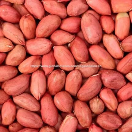 Premium Peanuts / Groundnuts - Raw and Roasted/ 80/90 Groundnut Kernel| Bulk Export Available