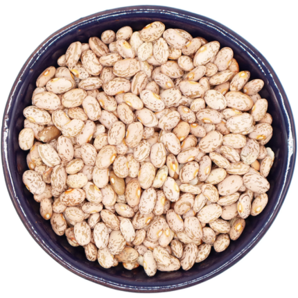 Bulk Supply Light Speckled Kidney Bean New Crop 220-240pcs Non GMO