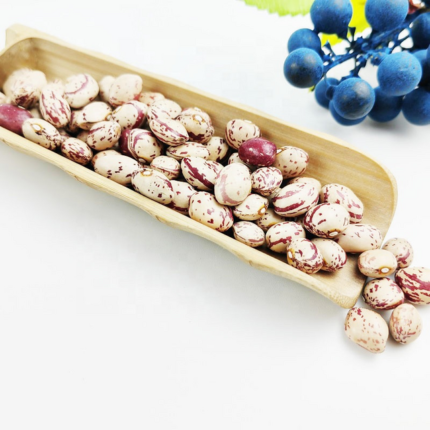 Non GMO Sugar Beans Pinto Beans / Bulk Supply Pinto Beans and White Kidney Beans New Crop 220-240pcs Lskb