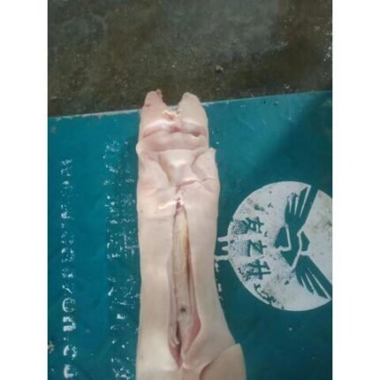 Frozen pork feet price per ton / frozen pork belly /frozen pork feet/ frozen pork meat/ frozen pork tenderloins/frozen pork tail.