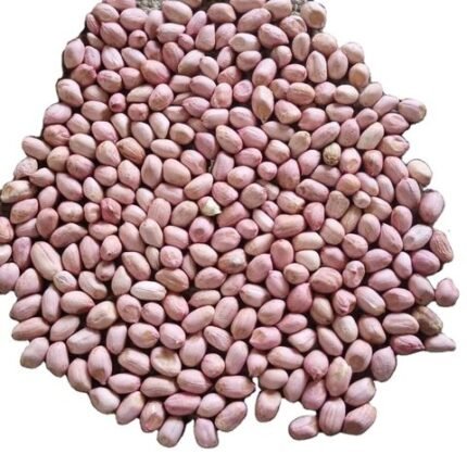 Rich in protein Rich organic protein Kernel Raw Peanuts Kernel Peanut for sale