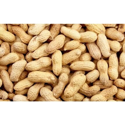 Groundnuts and Peanuts Raw and Roasted Varieties for Food Processing and Export