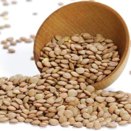 Top Quality Non Gmo Soybean Meal for Animal Feed Nutrient-rich Bulk Soya Bean Meal Poultry