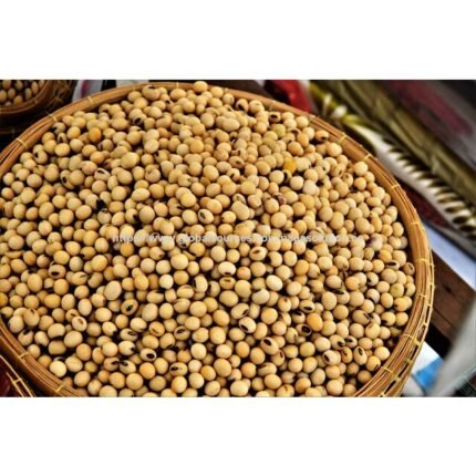 Soybeans: protein-rich legumes widely grown for food, animal feed, and oil, and are used in products like tofu, soy milk.