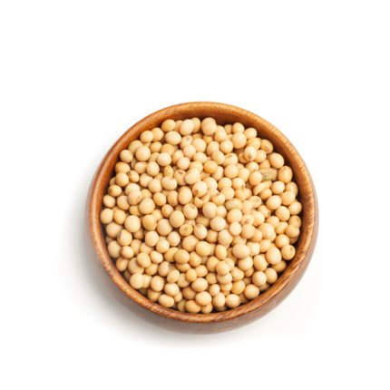Finest Quality Yellow Soybean Bulk Supply / Certified Soya Beans