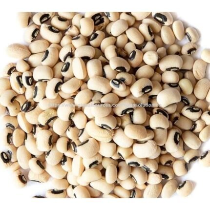 Top Quality Dried Black Eyed Peas / Cowpeas Food Grade Natural Beans Bulk Supply for Export